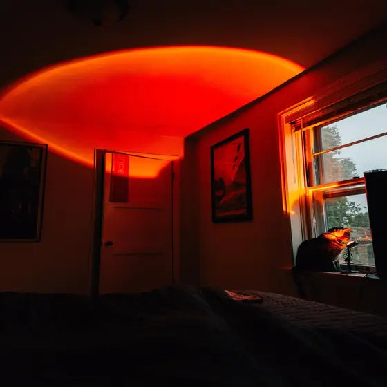 Wave Projector 16 Colors